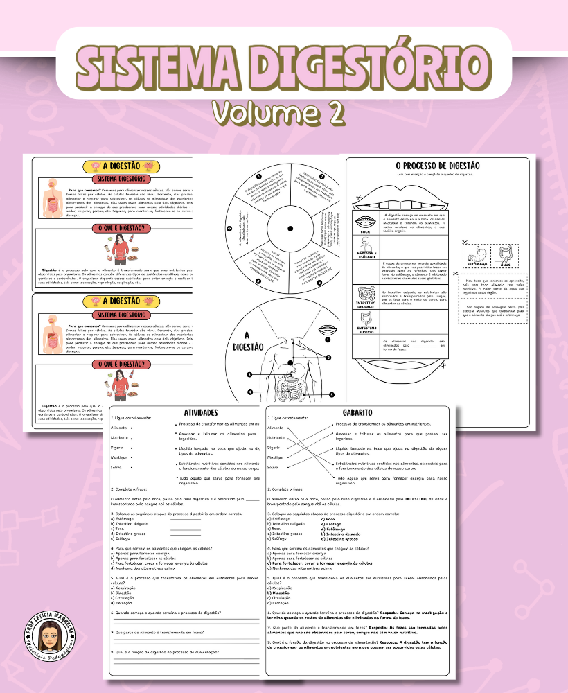 Sistema Digestório - Volume 2