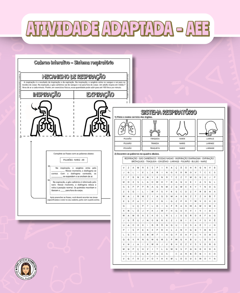 Sistema respiratório - Imagem 2